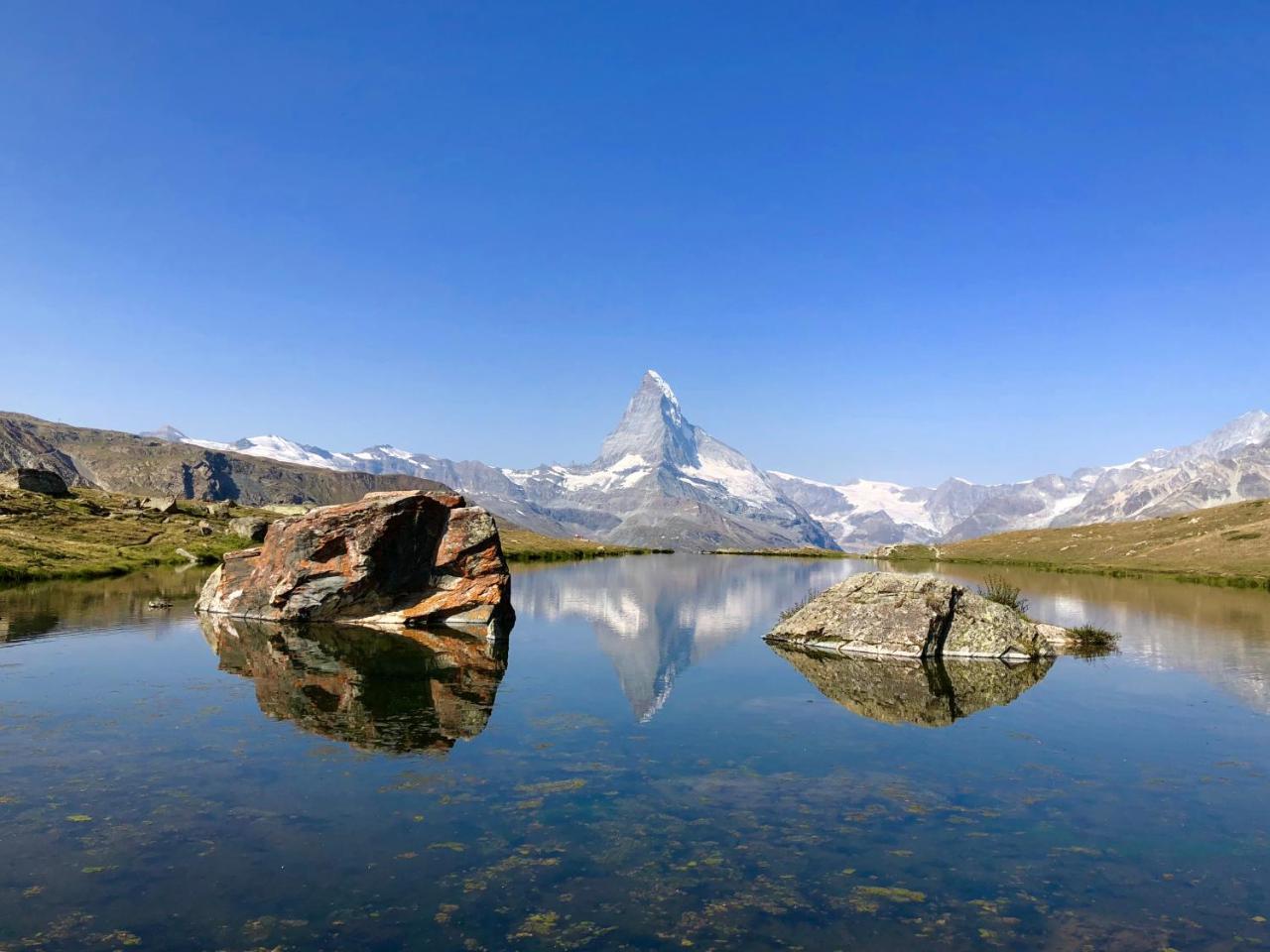 Apartment Olympia Mischabel Zermatt Eksteriør billede